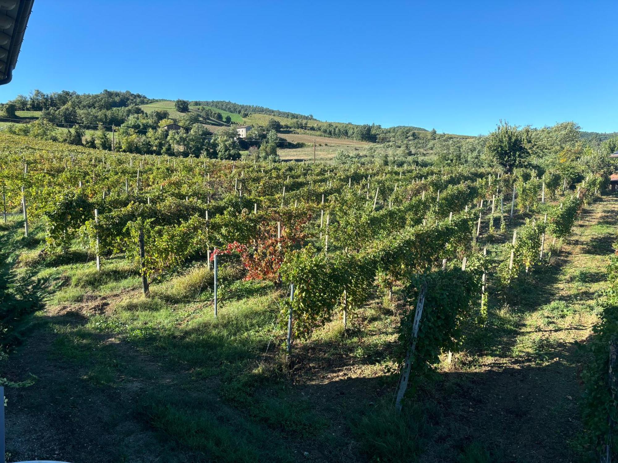 Uvamatta Carmiano (Emilia-Romagna) Exterior foto