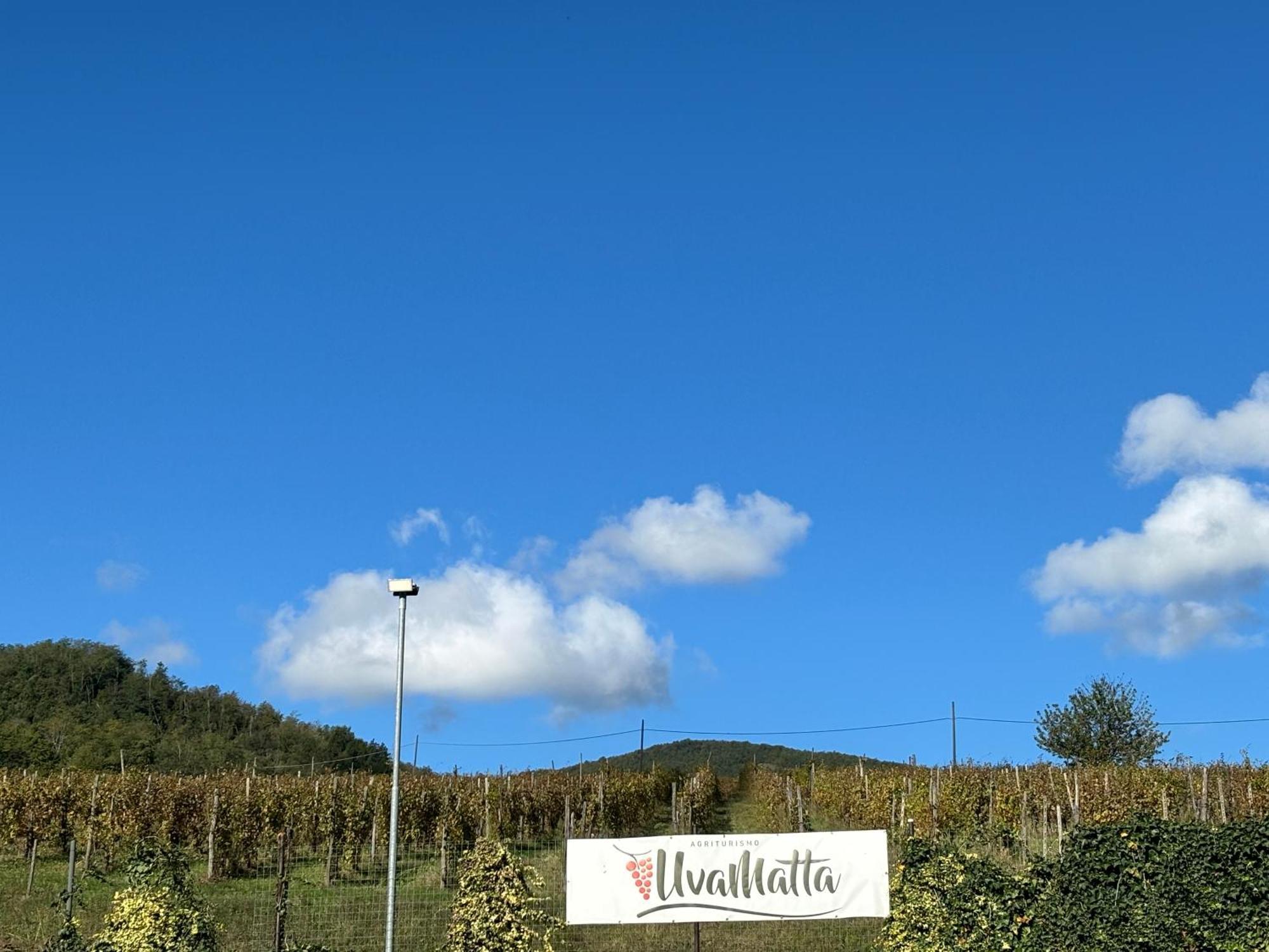 Uvamatta Carmiano (Emilia-Romagna) Exterior foto