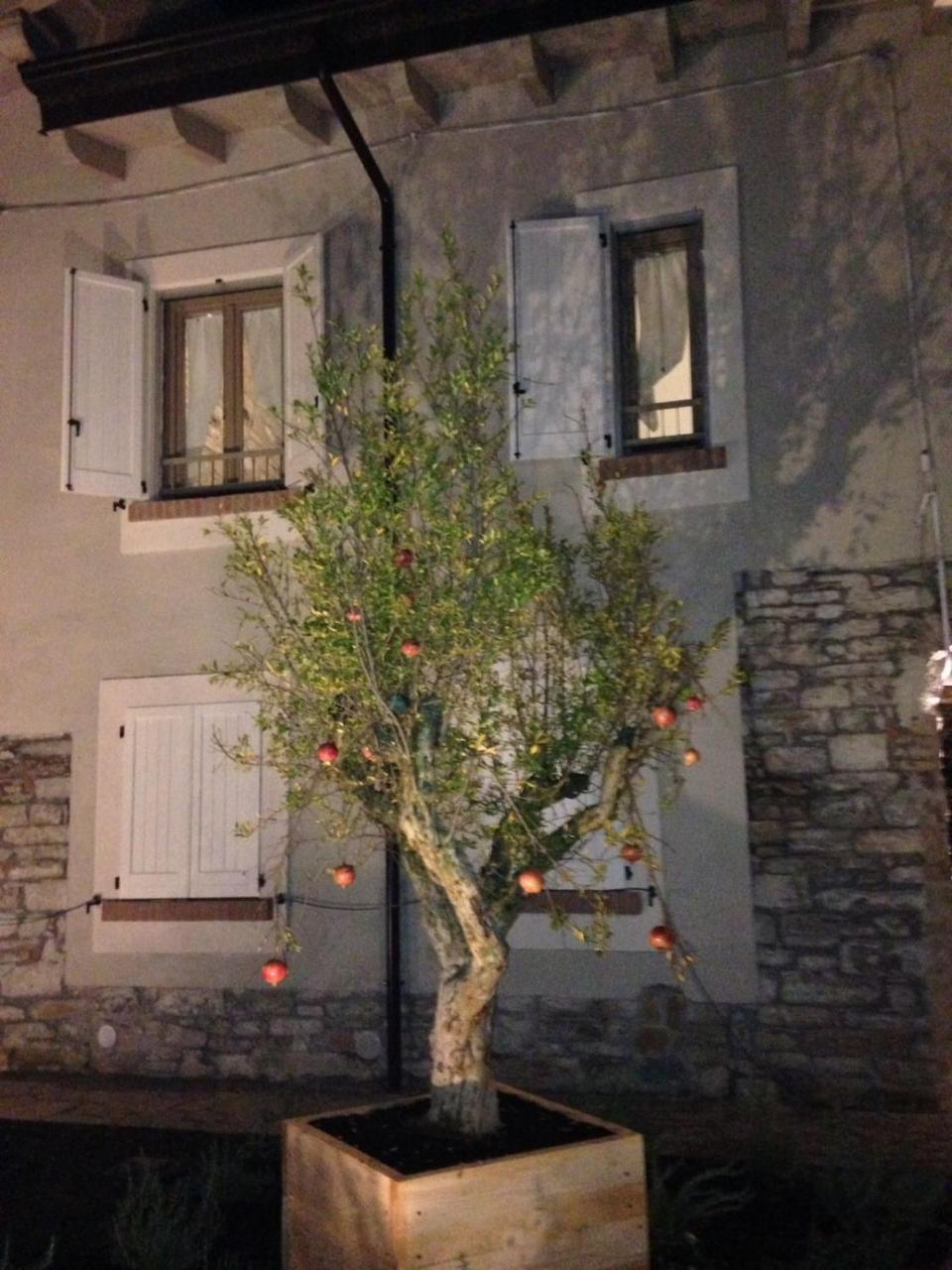 Uvamatta Carmiano (Emilia-Romagna) Exterior foto